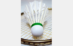 Infos sur les volants de badminton