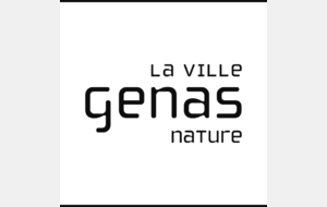 Forum des associations